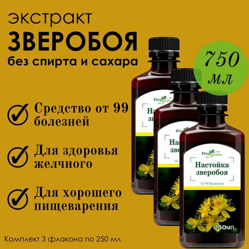 ������ ������ �������� �������� 