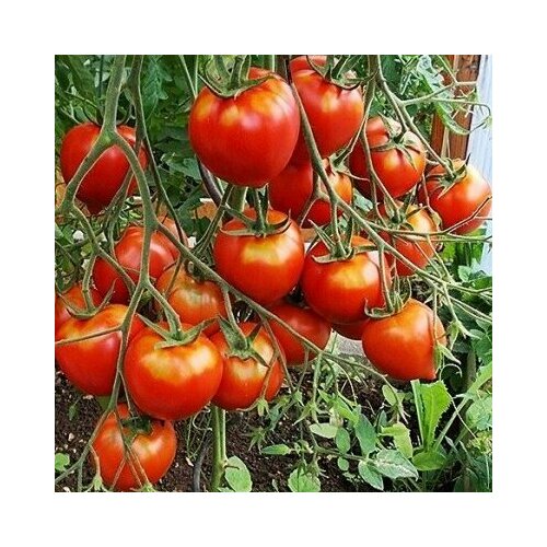 ������ ������ ������������� ������ ������ ��������� ��������� ������������� ����