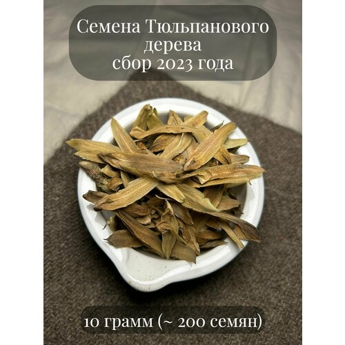 ������ ������ ������ ������������ ������, ��� ������������� ������������, �������, 10 ����� (�������� 200 ��) ����