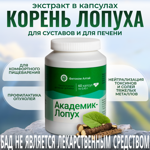 ������ ������ �������� �����, �������� ����� ������ � ��������, ���, 60 ����, ������� ����� ����