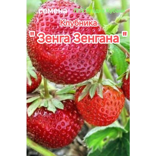 ������ ������ �������� 