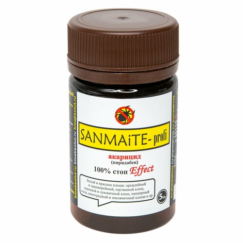 ������ ������ ������� 5 ����� ����