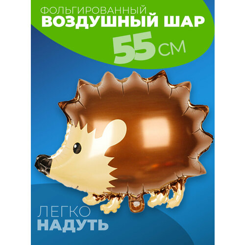 ������ ������ ��� ���� �������� ����