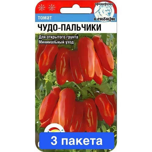 ������ ������ ����� ����-�������� 3 ������ ����