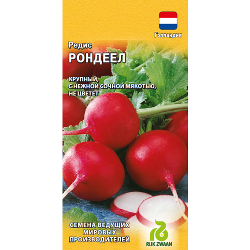 ������ ������ ������ ����� ������� F1 1� ������� (������) ��������� ����