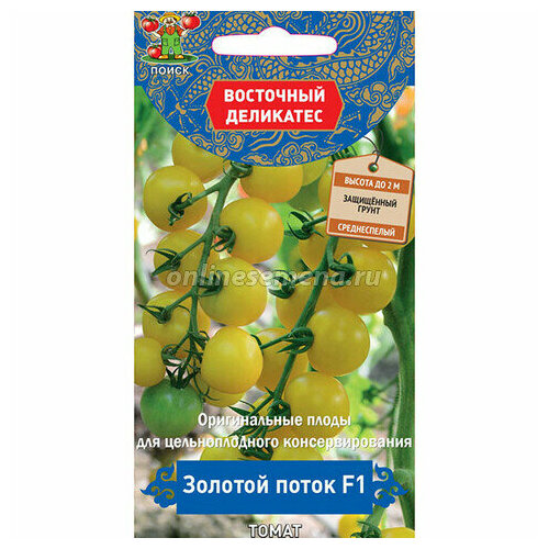 ������ ������ ������ ����� ������� ����� F1 10�� ����� (�����) ��������� ��������� ����