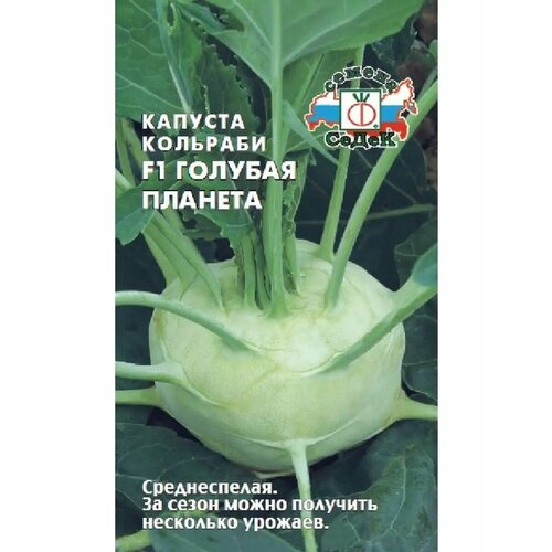 ������ ������ ������� �������� 