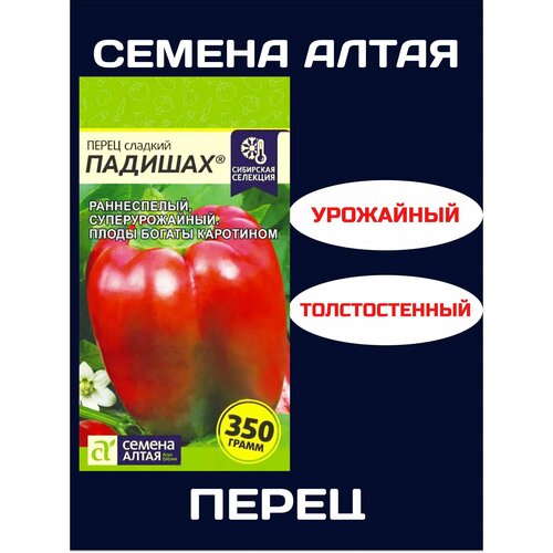 ������ ������ ����� ������� ��������� �������� (1 ��������-0,1 � �����) ����