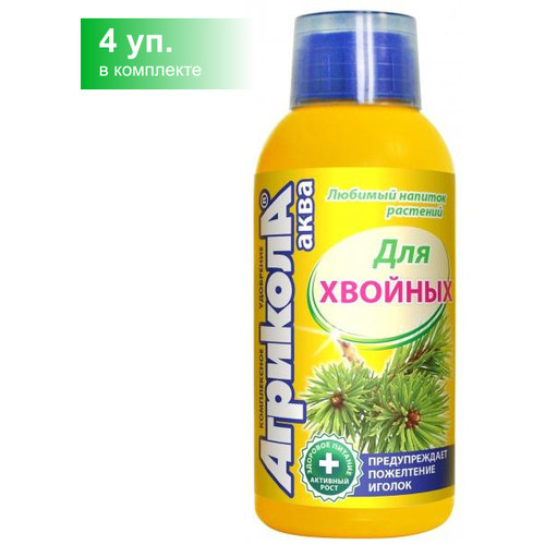 ������ ������ ��������� �������� ���� ��� ������� �������� 250 ��, 4 �� ����