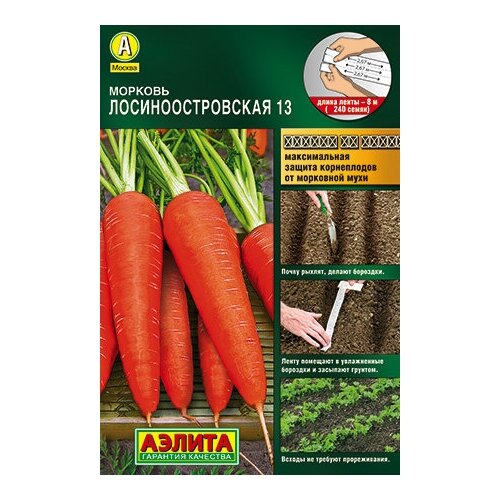 ������ ������ ������� ���������������� 13, ������ ( 1��: 240 ����� �� 8 ������ ����� ) ����