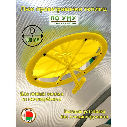 ������ ������ �������� ��� �������, �������� ��� �������. ���� ������. ������� 300 ��. ����