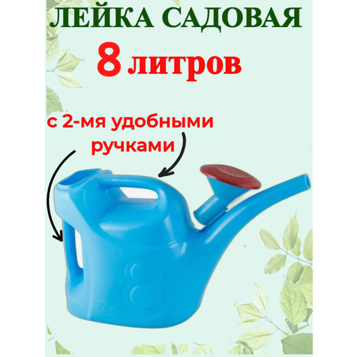 ������ ������ ����� ������� 8�. ������ ����