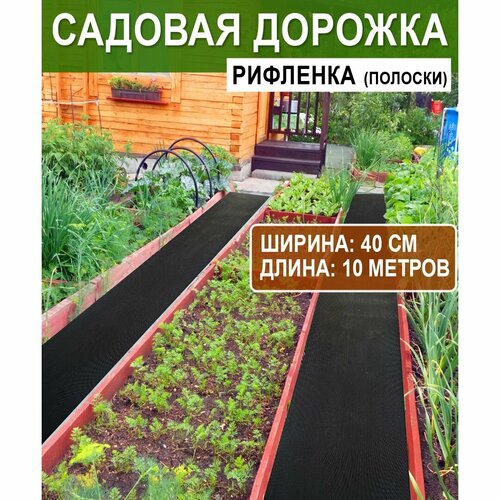 ������ ������ ������� ������� ��������� 