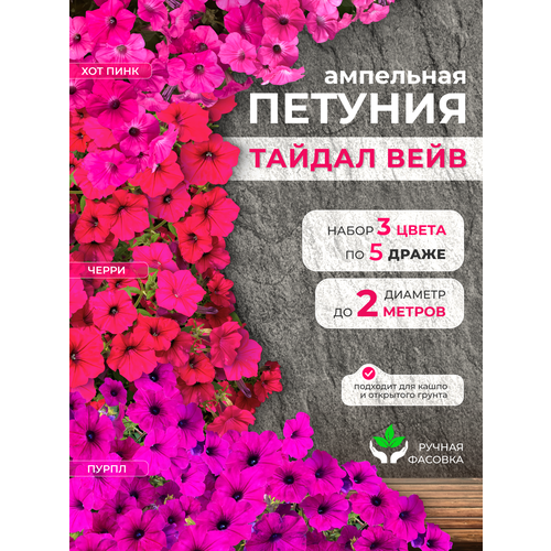 ������ ������ ��������� ������� ���������������� ������ ������ ���� 3 ����� �� 5 ����� ����