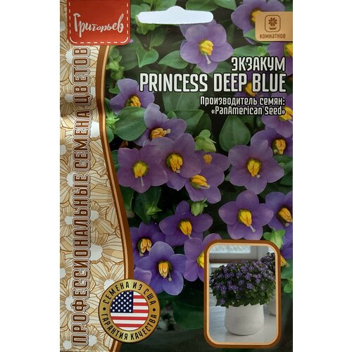    ( ) Princess Deep Blue (3 .)   -     , -,   