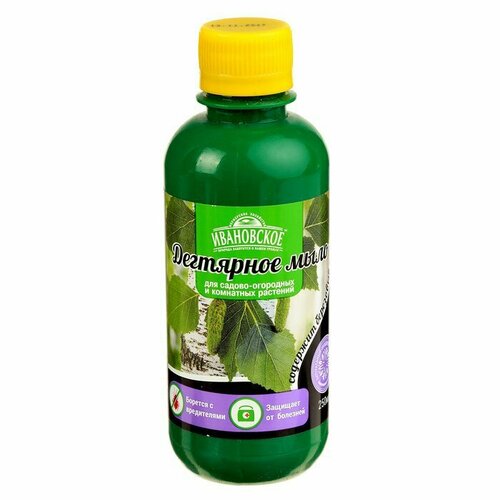 ������ ������ ��������� ���� ���������� ��������� ���������� 0,25� �������� ��������� ������ ����