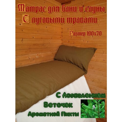 ������ ������ SENO OK ������ ��� ���� � ����� � �������� ������� ����