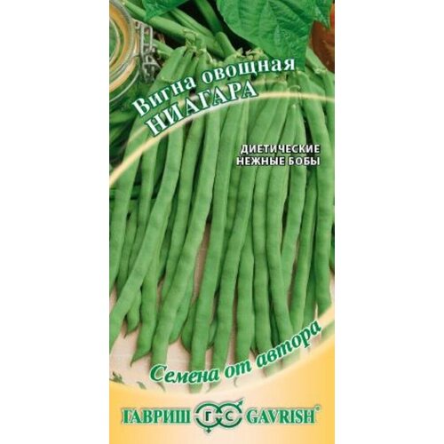 ������ ������ ������ ����� ������� 10�� (������) ����� ����