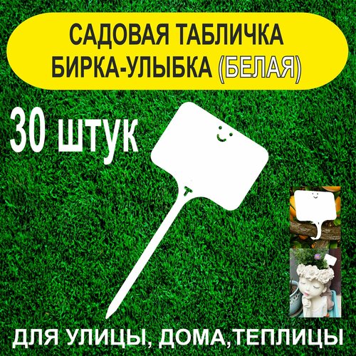 ������ ������ ������� ����� - ������. �������� ��� ��������. 30 ���� ����