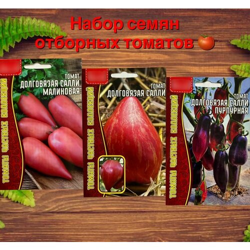 ������ ������ ����� ����� ������ ������ ��������, 3 �������� ����