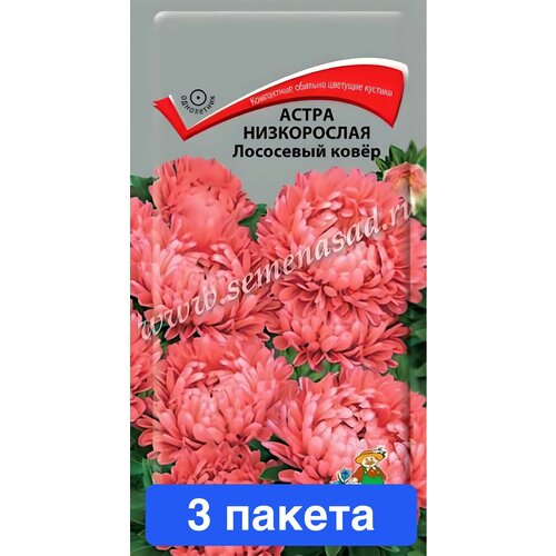 ������ ������ ������ ������ ����� 