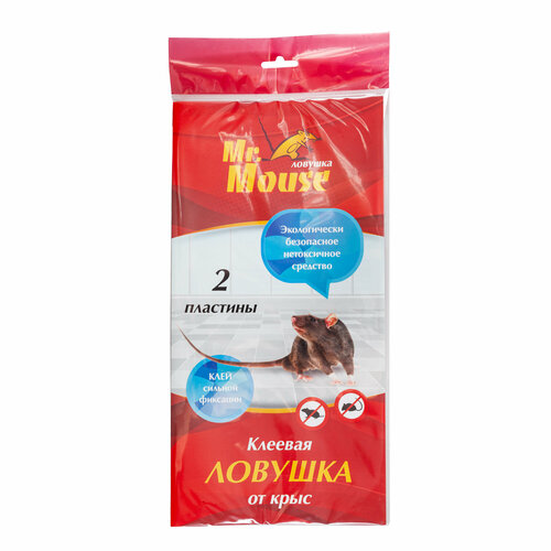 ������ ������ ����������, �������� ������� �� ���� 2 ��, Mr. Mouse ����