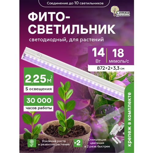 ������ ������ ��������� ��� �������� ��������������� 14 ��, ������ ��� ������� � �������� � ������������, ���������� ���� ����