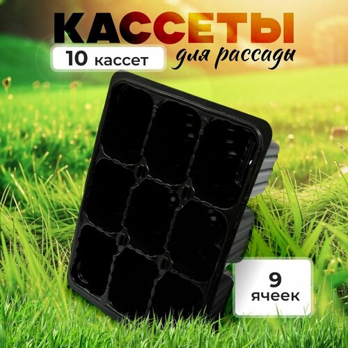 ������ ������ ������� ��� ������� - 9 �����, ����� 10 ���� ����