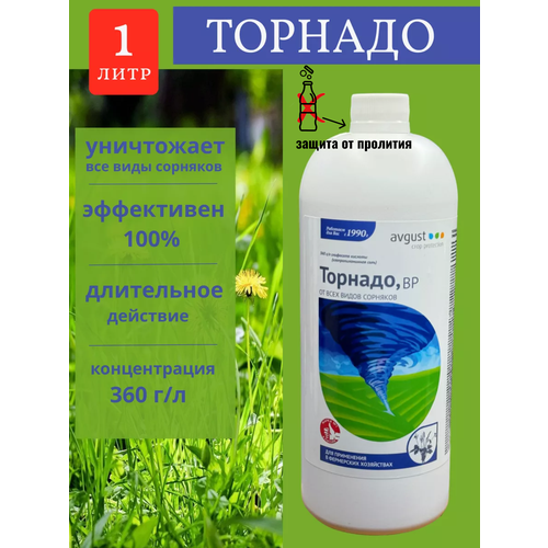 ������ ������ ������� �������� �� �������� 1000 �� ����