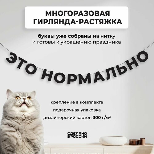 ������ ������ ��������-�������� �������� ��� ��������� (160 ��) - ������ ����� � �������� ������� ���� ��� �������� �������� ����