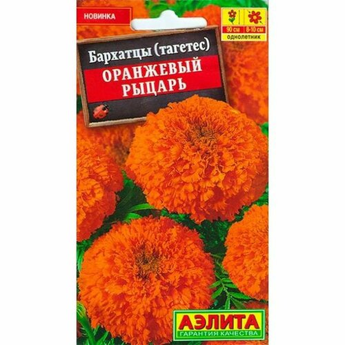 ������ ������ ������ �������� ��������� ������ ��, ����������, (������) 0,3� ����