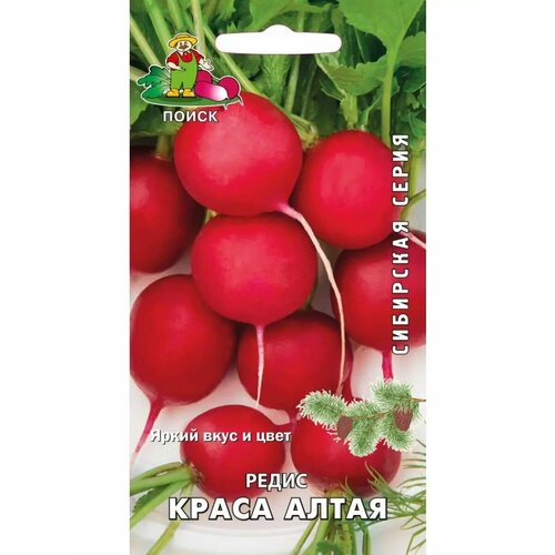 ������ ������ ����� 