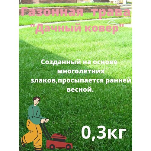 ������ ������ �������� ����� 