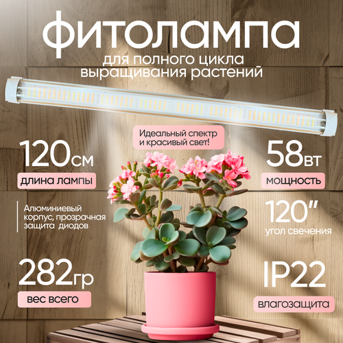 ������ ������ ��������� 