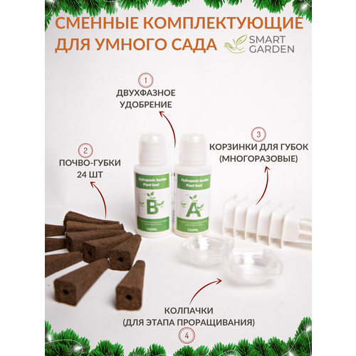 ������ ������ ����� ������� ������������� ��� ������ ���� (������), 20 �����-�����, 10 ��������, � � � ���������, �������� � �������, ����� ����