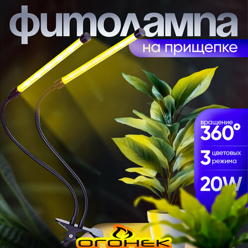 ������ ������ ���� ����� ��� �������� � �������� �� �������� ������ OG-LDP20W ����