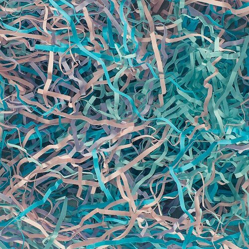 ������ ������ ����������� ��� ������� �������� ���� ���� / 100 �, 2 �� ����