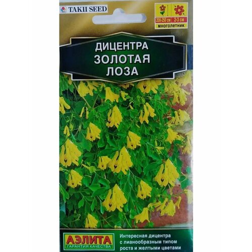 ������ ������ �������� ������� ���� (5 �� �����) ����