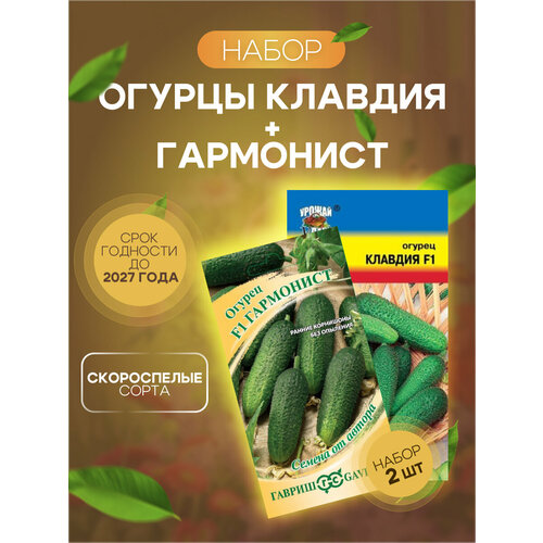 ������ ������ ������ ������� ��������� + ������ �������, ����� 2��. ����