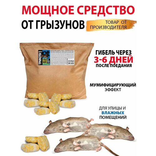 ������ ������ ������ ��� ���� � ����� ����������� ������� 3 �� ����