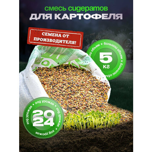 ������ ������ ������ ��������� ������� ������, ����� ��� ���������, ���������� 5 �� ����