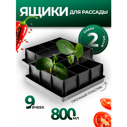 ������ ������ ���� ��� ������� � �������� ��������� 9 ������ 0,8� 2 �� ����