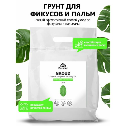 ������ ������ ����� (�����) ��� ������� � ����� ������. � ������ � ���������� ��� ��������� ����� � �������������� �������� (Purshat) 10 � ����