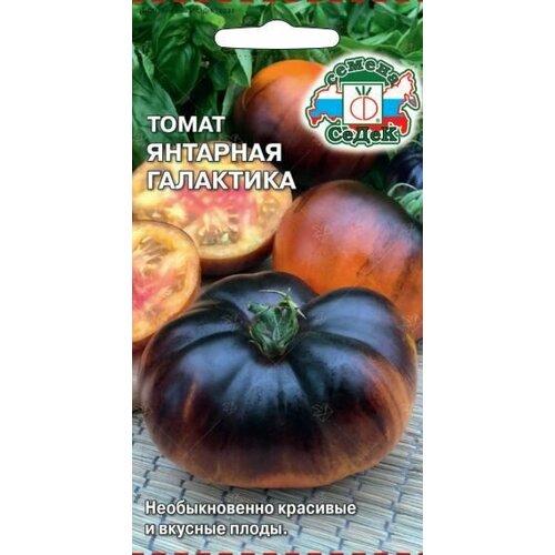 ������ ������ ����� �������� ��������� (3 ��������), ������ ����