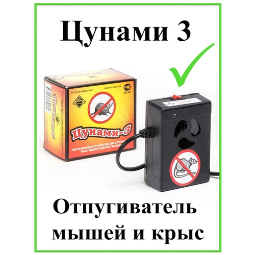 ������ ������ ������������ ����� �������������� ������ 3 ����