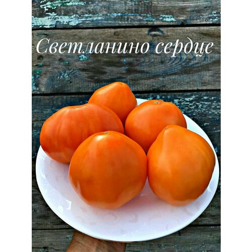 ������ ������ ������������� ������ ������ ���������� ������ ����