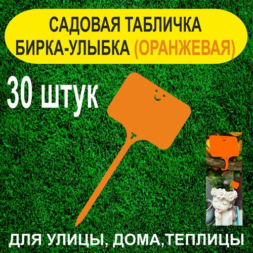 ������ ������ ������� ����� - ������. �������� ��� ��������. 30 ���� (���������) ����