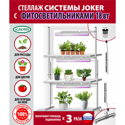 ������ ������ ������� ��� ������� � �������� �������, ��������� , ��������� , � ��������� � ����������������� 3 �� �� 18 �� ��� ���� � ���� ����