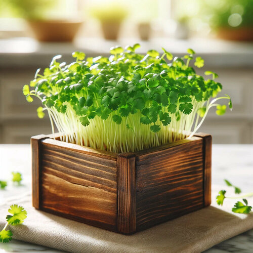 ������ ������ ����� ������ ����������� ������ ����