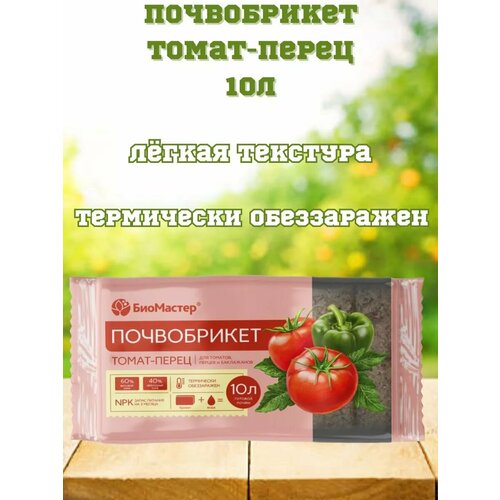 ������ ������ ����������� �����-����� 10� ����